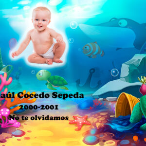 Lápida a color infantil 1361