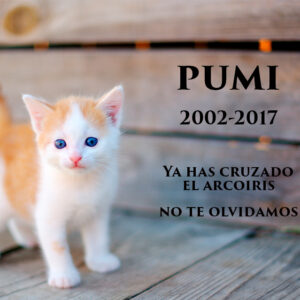 Lápida a color mascotas 1518