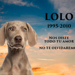 Lápida a color mascotas 2225
